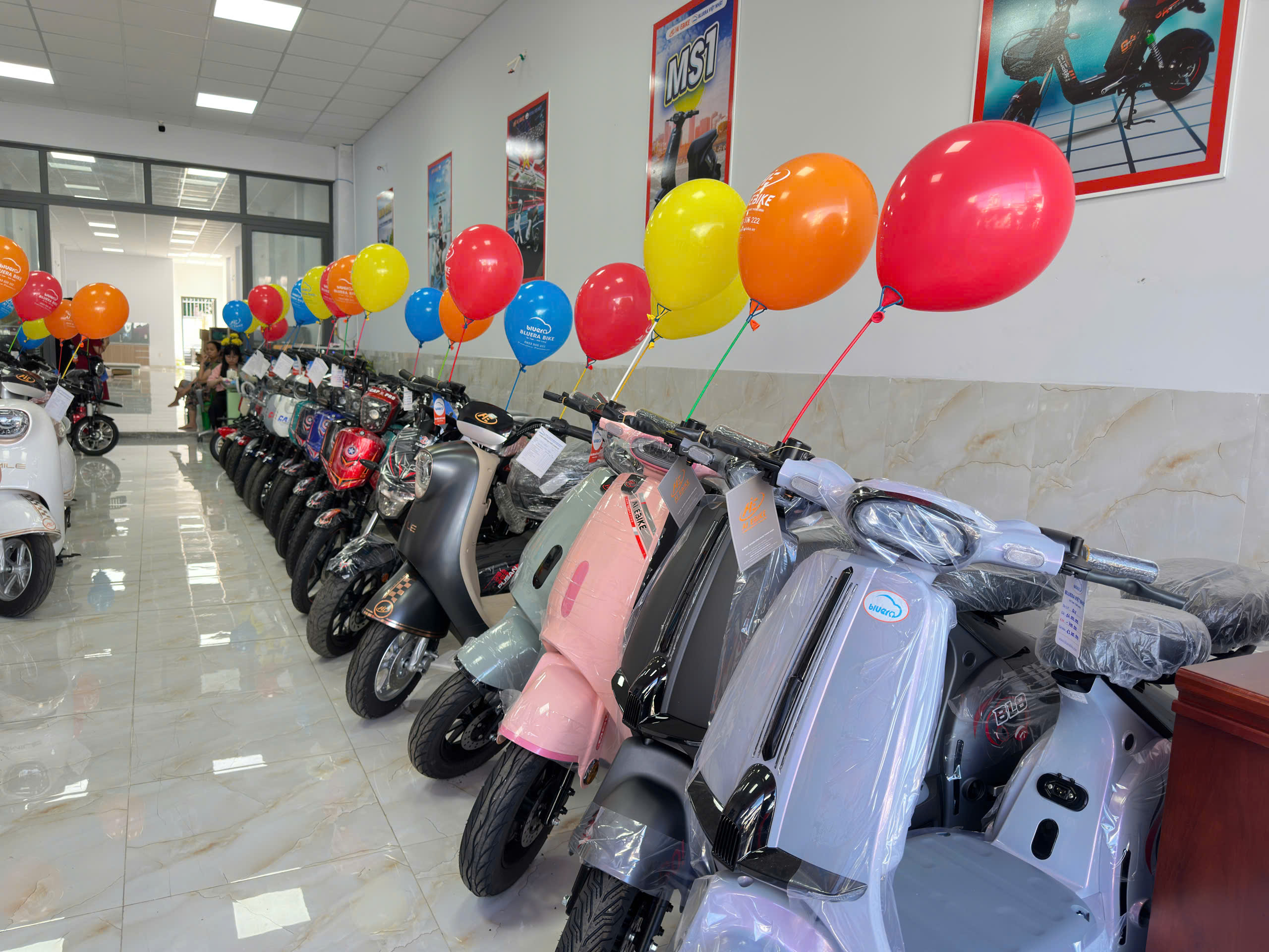 xe điện chính hãng 3