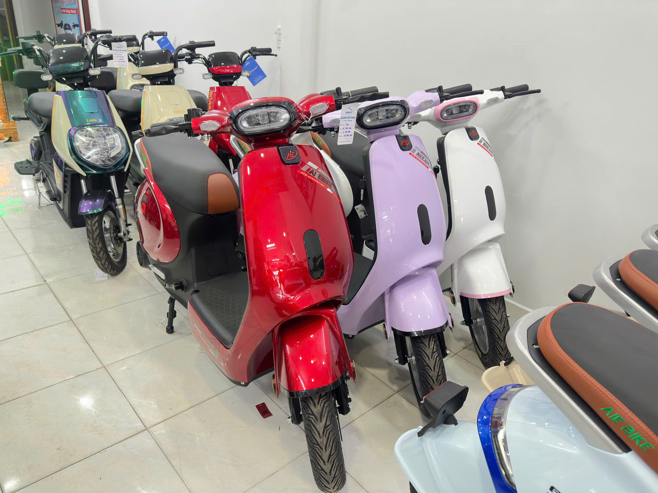 Khai trương cửa hàng xe điện 4