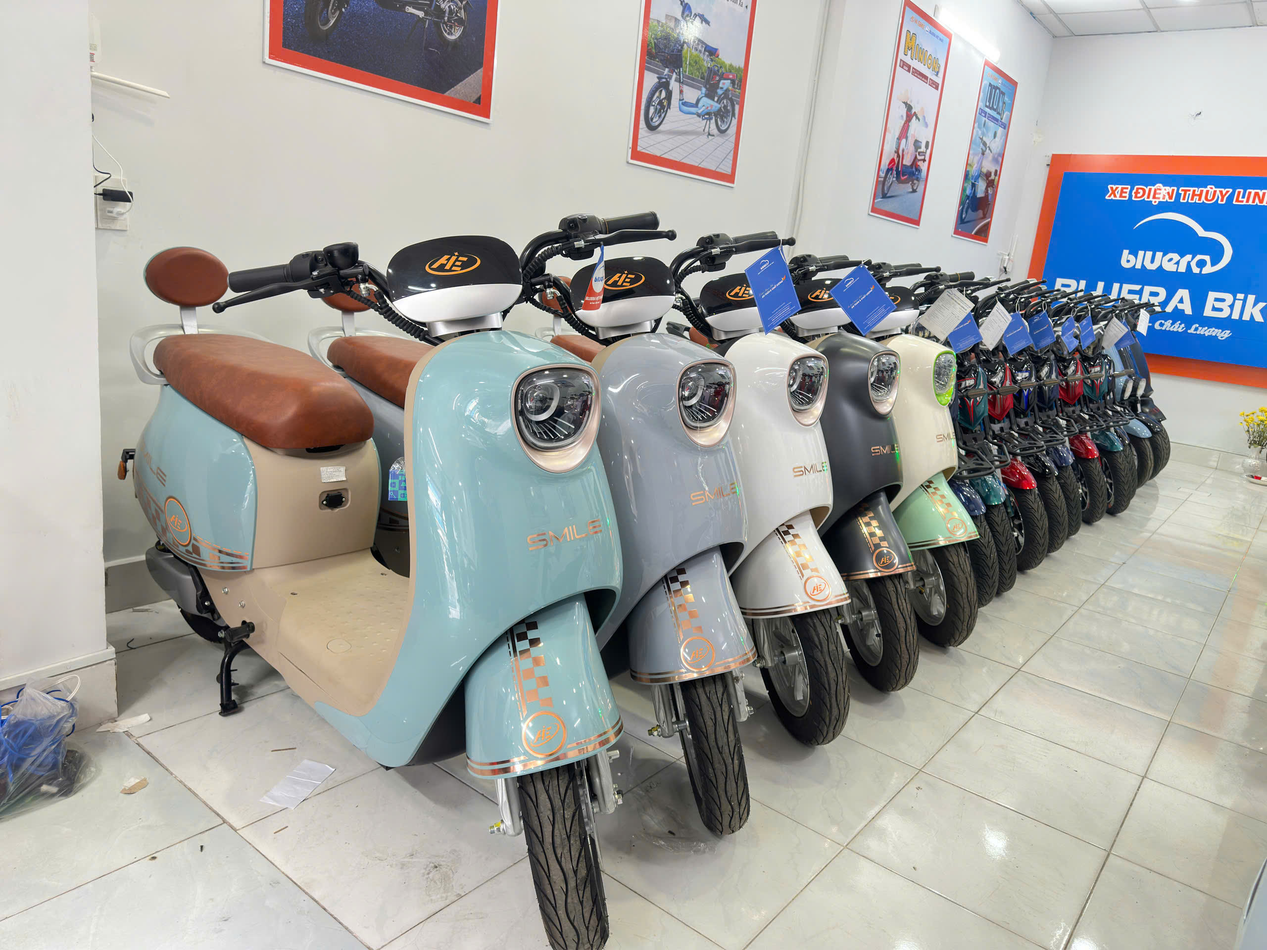 Khai trương cửa hàng xe điện 5