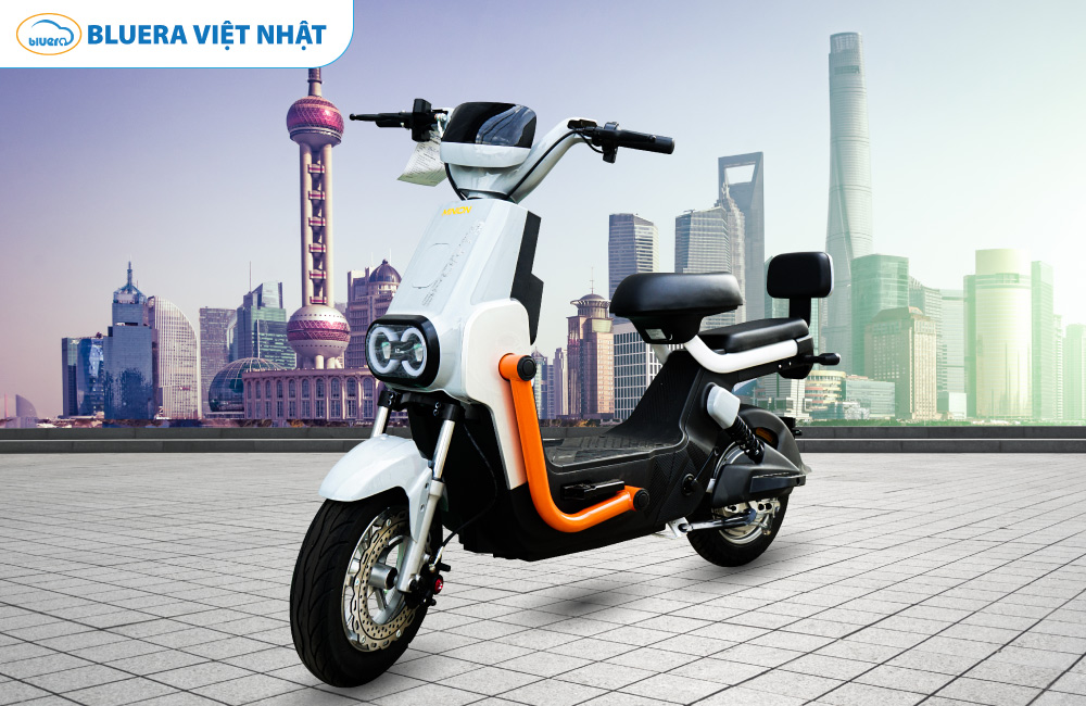 Xe đạp điện Bluera Minion