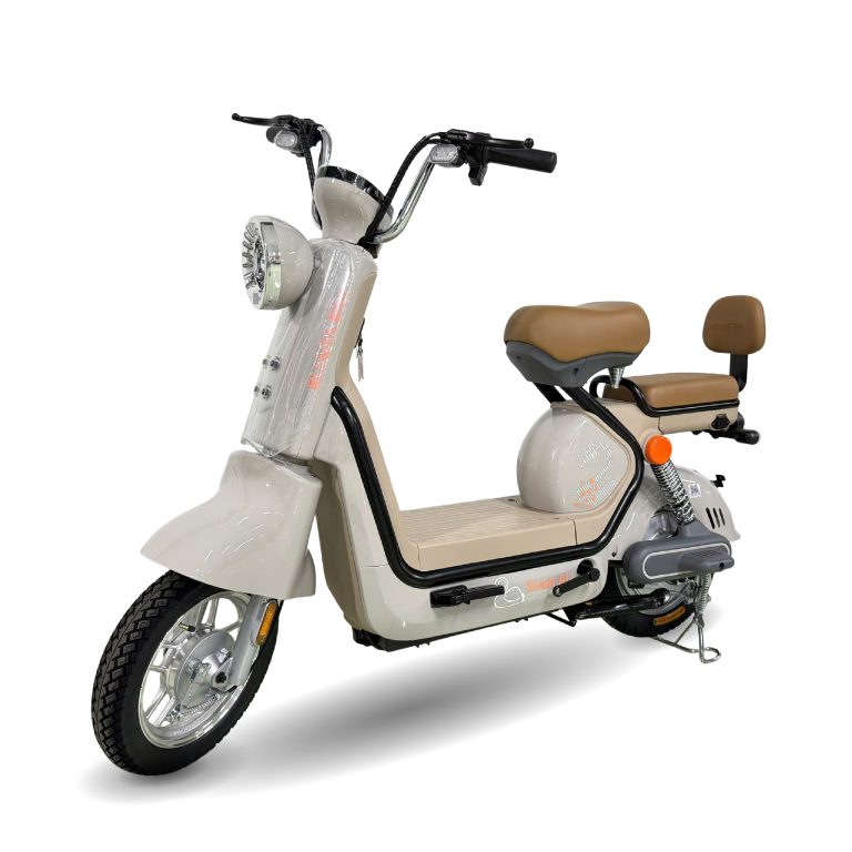 Xe đạp điện Swan AI 2026