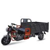 Xe Ba Gác Điện Tải Trọng 1.5- 2Tấn