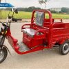 Xe Ba Gác Điện Tải Trọng Eagle 700kg - 1Tấn