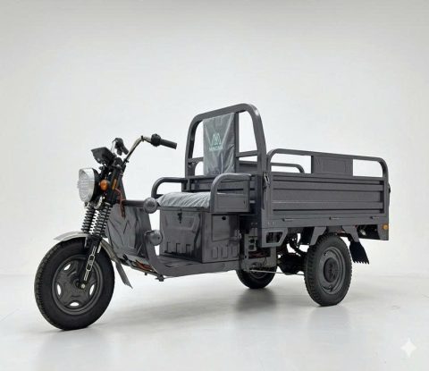 Xe Ba Gác Điện Tải Trọng 900Kg - 1,2Tấn Eagle