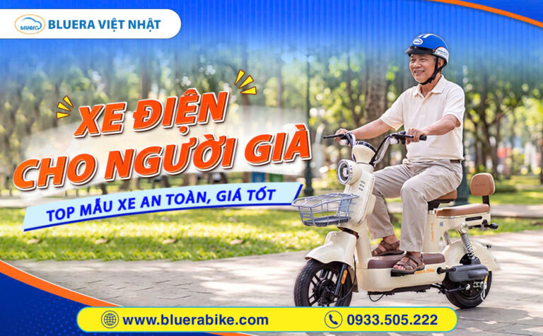 Xe đạp điện cho người già: Top 6 mẫu an toàn, giá tốt