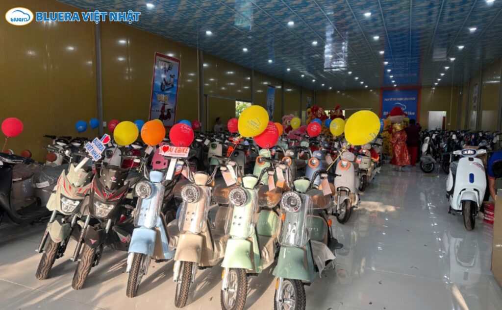 Xe Đạp Điện 12 Triệu Nên Mua Mẫu Nào Trong Năm 2026 7 Bluera Việt Nhật chuyên cung cấp xe đạp điện 12 triệu chính hãng, an toàn, chất lượng